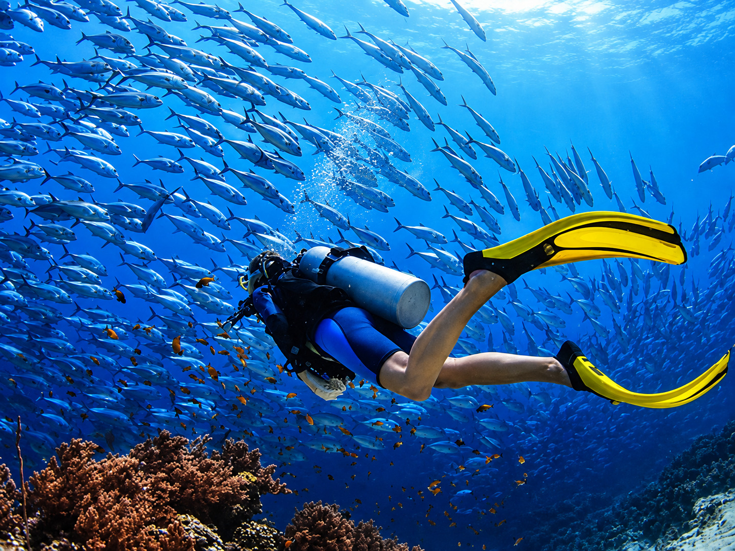 PADI Adventure Diver course