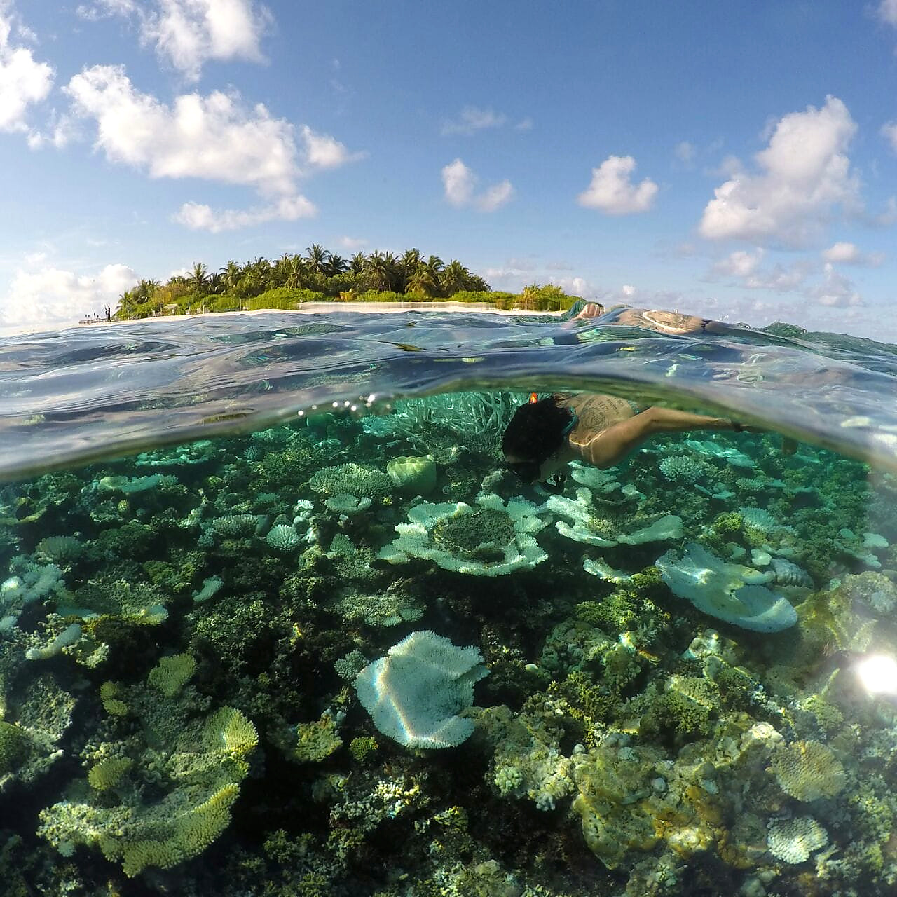 Maldives reef and lagoon