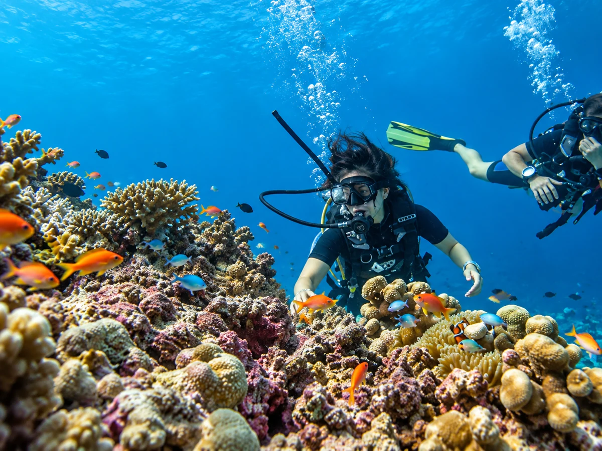 Certified diver exploring a coral reef
